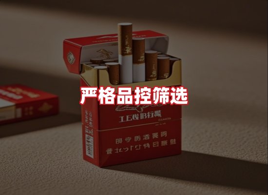 专业团队